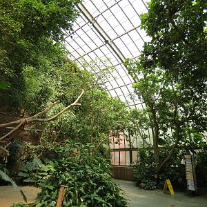 Tropical Rainforest - Interior