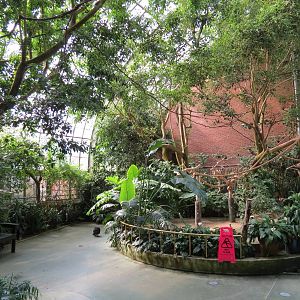 Tropical Rainforest - Interior