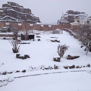 London Zoo January 2013