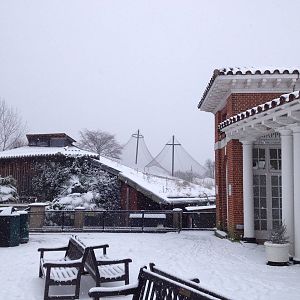 London Zoo January 2013