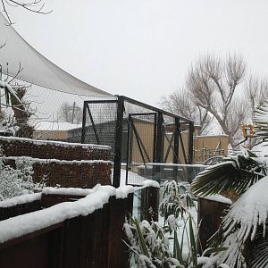 London Zoo January 2013