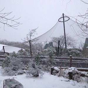 London Zoo January 2013