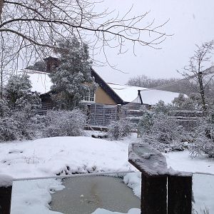 London Zoo January 2013