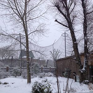 London Zoo January 2013