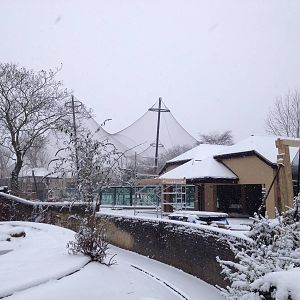 London Zoo January 2013