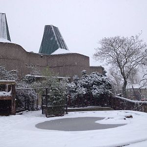 London Zoo January 2013