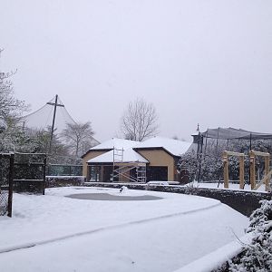 London Zoo January 2013