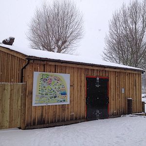 London Zoo January 2013