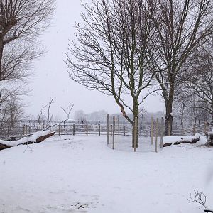 London Zoo January 2013