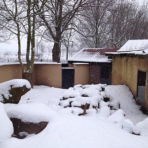 London Zoo January 2013