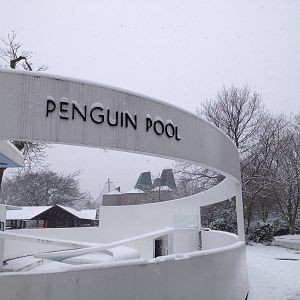 London Zoo January 2013