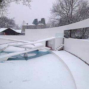 London Zoo January 2013