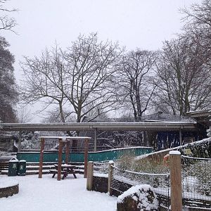 London Zoo January 2013