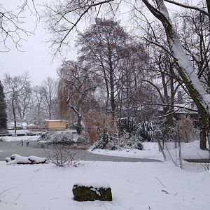 London Zoo January 2013