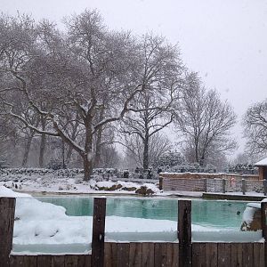 London Zoo January 2013