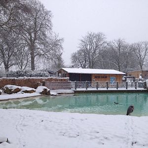 London Zoo January 2013
