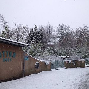 London Zoo January 2013