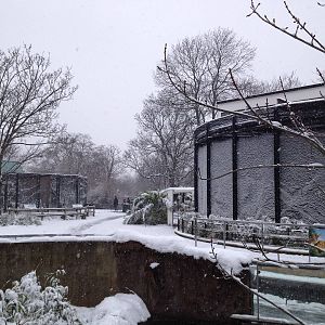 London Zoo January 2013