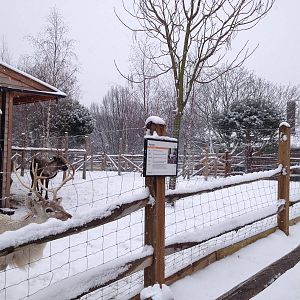 London Zoo January 2013