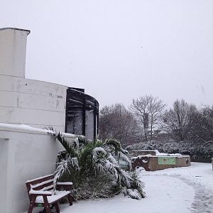 London Zoo January 2013