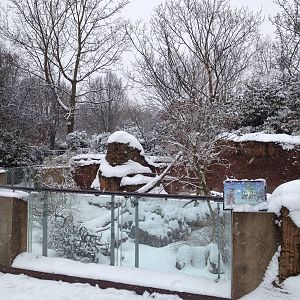 London Zoo January 2013