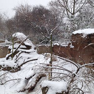 London Zoo January 2013