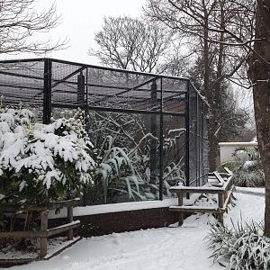 London Zoo January 2013