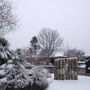 London Zoo January 2013