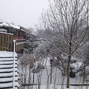 London Zoo January 2013