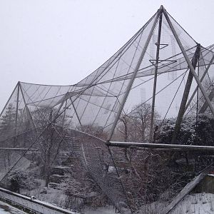 London Zoo January 2013