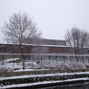 London Zoo January 2013