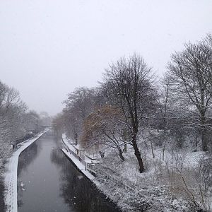 London Zoo January 2013