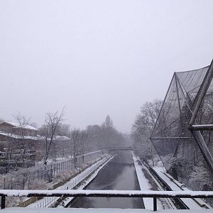 London Zoo January 2013