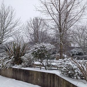 London Zoo January 2013