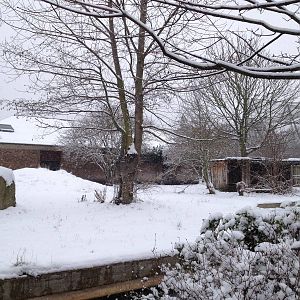 London Zoo January 2013