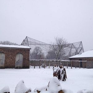 London Zoo January 2013