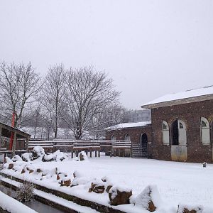 London Zoo January 2013