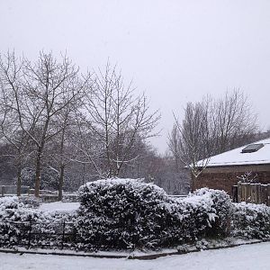 London Zoo January 2013