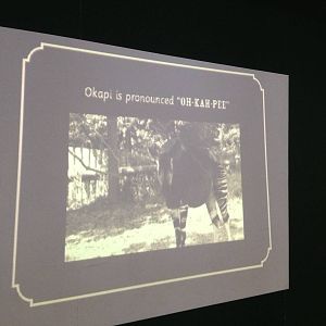 London Zoo January 2013