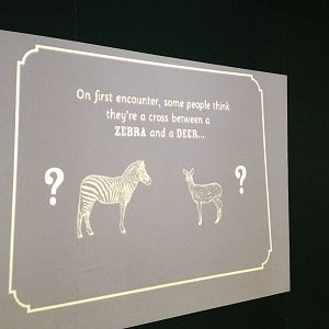 London Zoo January 2013