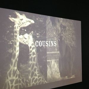 London Zoo January 2013