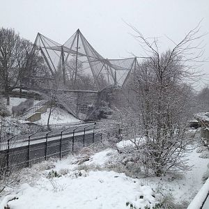 London Zoo January 2013
