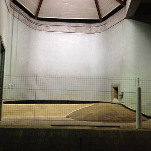 London Zoo January 2013