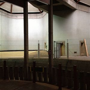 London Zoo January 2013