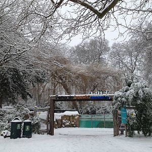 London Zoo January 2013