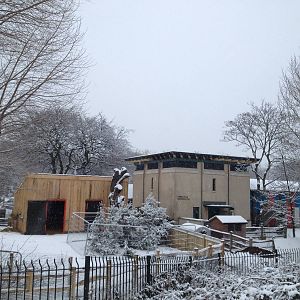 London Zoo January 2013