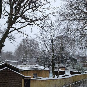 London Zoo January 2013