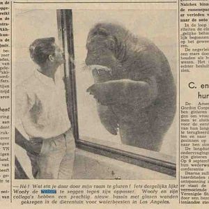 walrus at Los Angeles Zoo