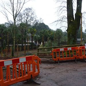 Chusan Paddock, 23 January 2013