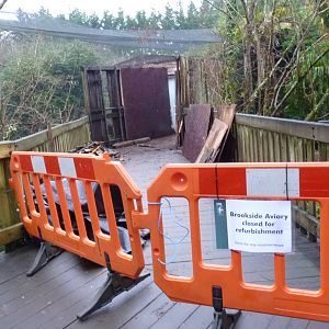 Brookside Aviary, 23 January 2013